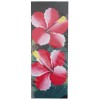 075 0191 Hibiscus